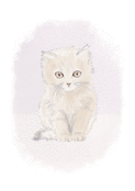 Petit chat doux pour une nouvelle vie
